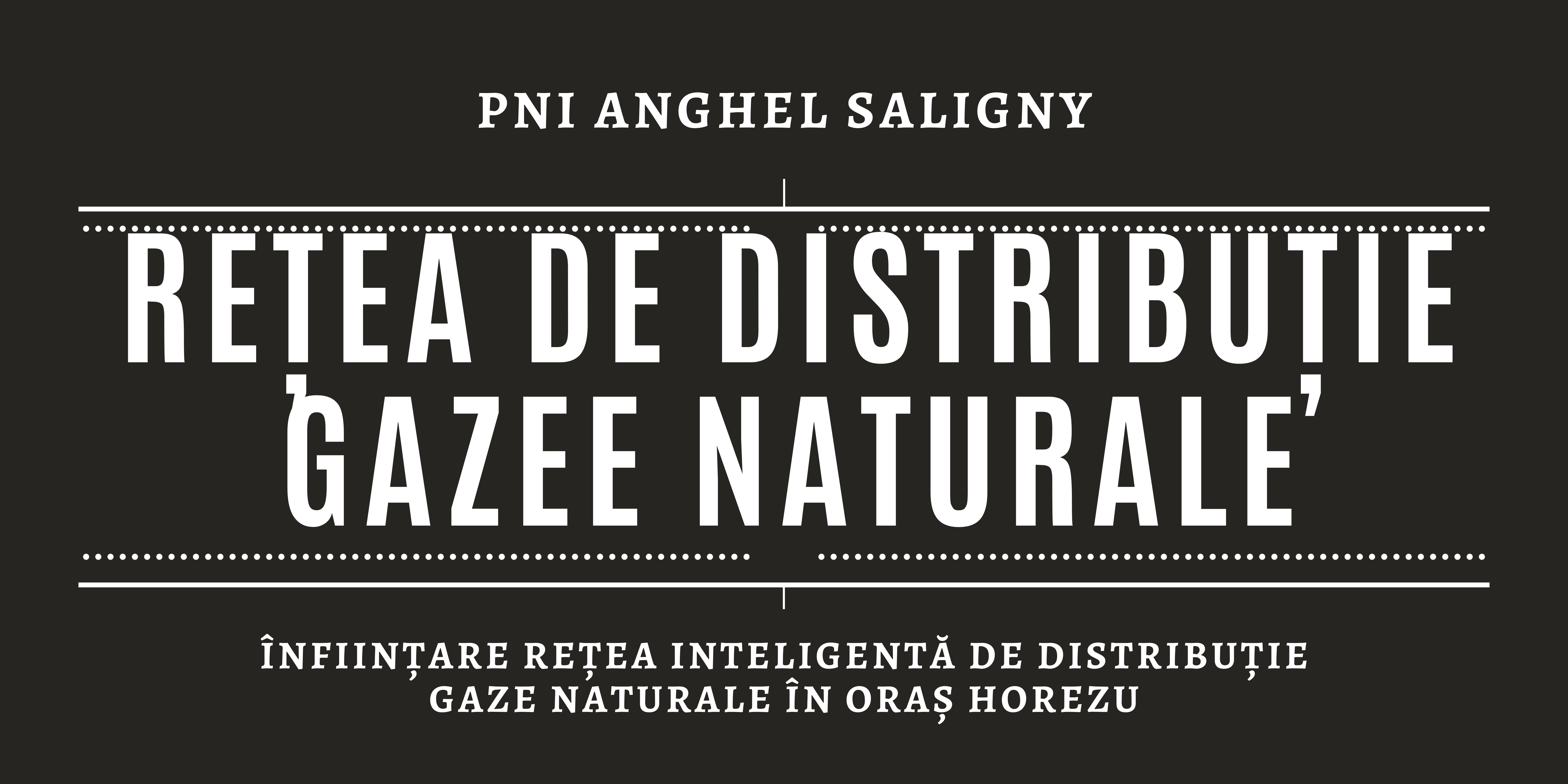 Înfiinţare rețea inteligentă de distribuție gaze naturale în oraș Horezu