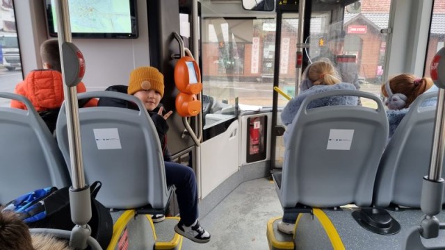 Înființarea și dotarea cu autobuze nepoluante a serviciului public de transport local Horezu în parteneriat cu comuna Măldărești, județul Vâlcea